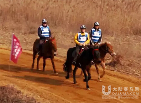 2016青岛海氏海诺杯马术耐力赛1月17日开赛