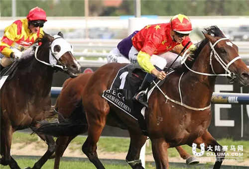 CHC明星小公马“迪拜之光” 澳洲首场测试赛成功卫冕1.jpg