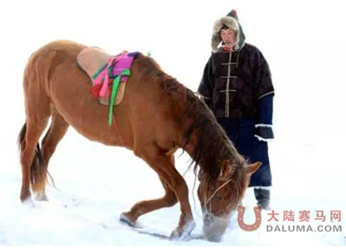 冰雪草原下的民族赛马 赛事精彩与民俗相辉映.jpg