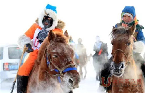 冰雪草原下的民族赛马 赛事精彩与民俗相辉映1.jpg