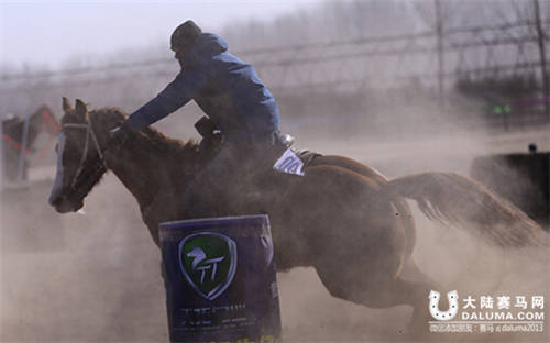华夏马会马术大赛严寒中举行