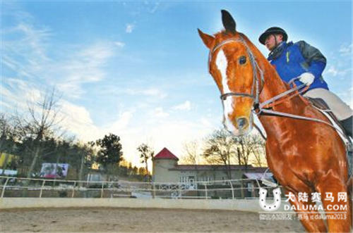 河南本土培养的马术明日之星张楚悦