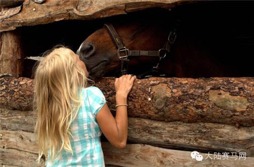 法国小女孩“跨国寻马”路上的爱心传奇.jpg