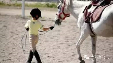 法国小女孩“跨国寻马”路上的爱心传奇 (2).jpg