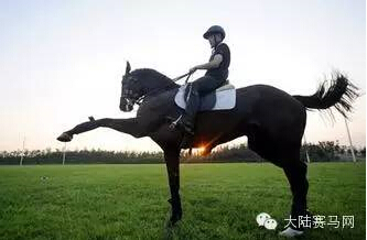 法国小女孩“跨国寻马”路上的爱心传奇 (3).jpg