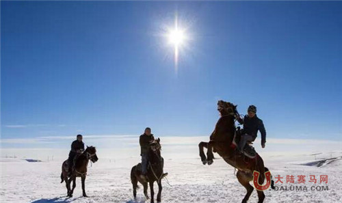 “马背风情”哈萨克族传统文化活动 赛马点燃草原激情 2.jpg