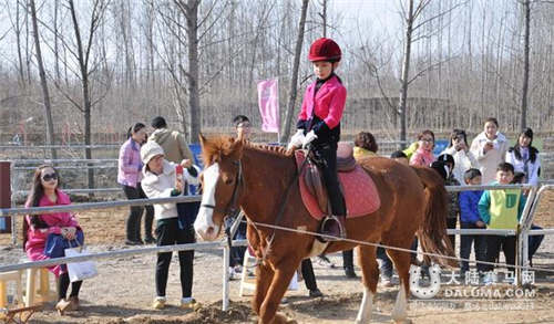 济宁首届马术公开赛举行:小小“骑士”一较高下