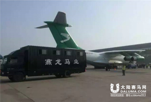 进口马匹0元代理费 燕龙马业葫芦里卖的什么药？