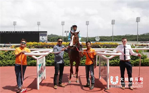 CHC杰士马主海外五冠荣耀贺元宵 1.jpg