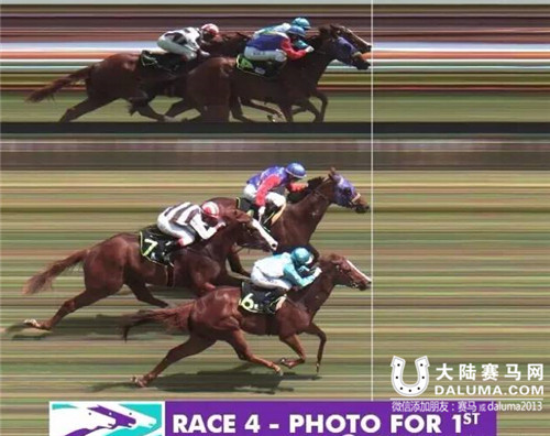 CHC杰士马主海外五冠荣耀贺元宵 2.jpg