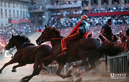 意大利赛马传统太残忍 15年内死7匹马1.jpg