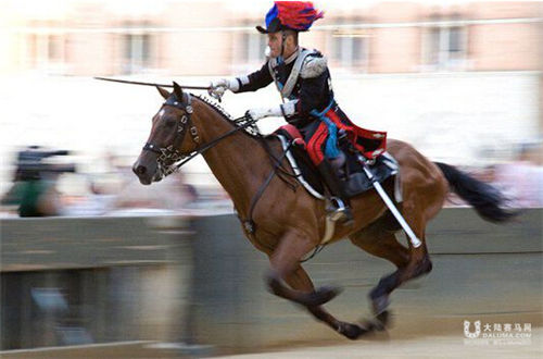 意大利赛马传统太残忍 15年内死7匹马3.jpg