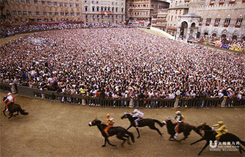 意大利赛马传统太残忍 15年内死7匹马4.jpg
