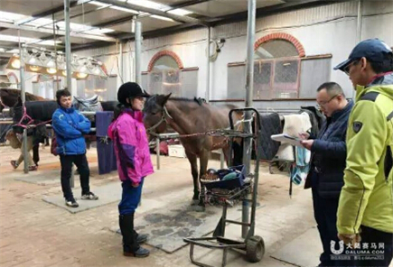 北京马协青少年马术培训班:马术微学院定制零基础马术课程4.jpg