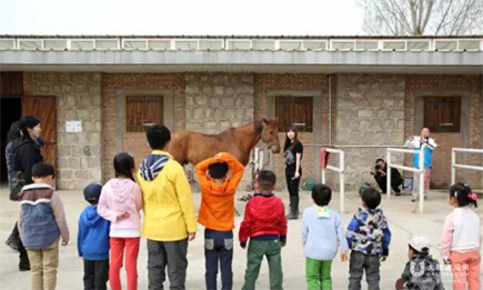 北京马协青少年马术培训班:马术微学院定制零基础马术课程8.jpg