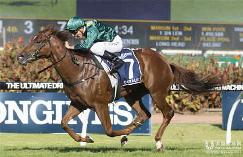 金拖鞋大赛冠军赛马“资本家”或将开始休假.jpg