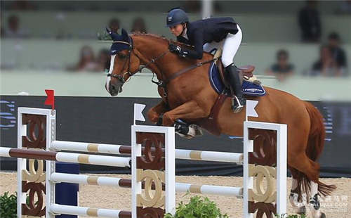 环球马术冠军赛再登申城 懂规则方能领略魅力