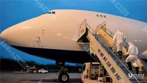 迪拜赛马明早将乘专机抵达成都双流国际机场