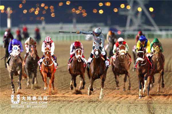 美国马王“加州铬”轻松问鼎1000万美元迪拜赛马世界杯 大陆赛马网.jpg