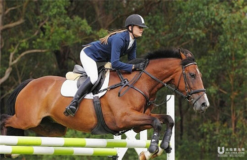 漫山香墅皇家马术体验活动 3月27日盛装上演