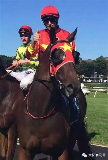 澳洲打吡连续两年出现中国大陆马主赛驹:“黄金雄心”奋力一搏 1.jpg