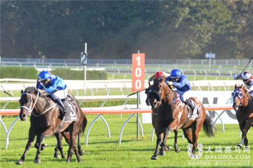 唐卡斯特一哩赛“云丝仙子”(WINX)夺冠 大陆赛马网.jpg