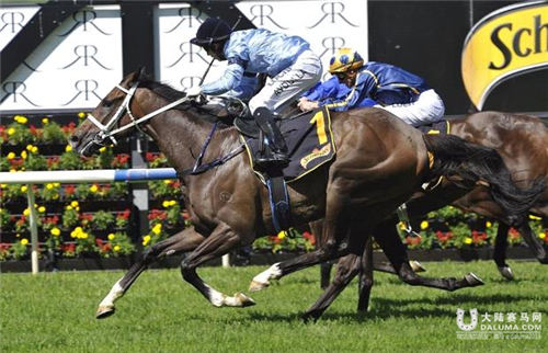 CHC杰士马主俱乐部旗下赛马“奥夫雷”澳大利亚主席杯获第四 (1).jpg