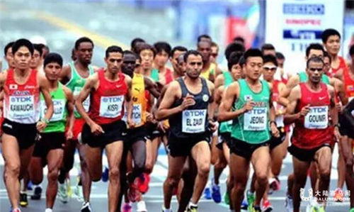 “赛马助跑汉马”主题赛马日4月9日武汉浪漫上演