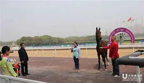 赛马助跑汉马主题赛马日武汉即将上演1.jpg