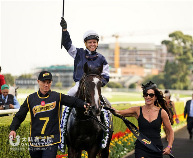 “佳朗”(Gallante)问鼎2000万澳币悉尼杯 CHC“奥夫雷”第十 大陆赛马网 (1).jpg