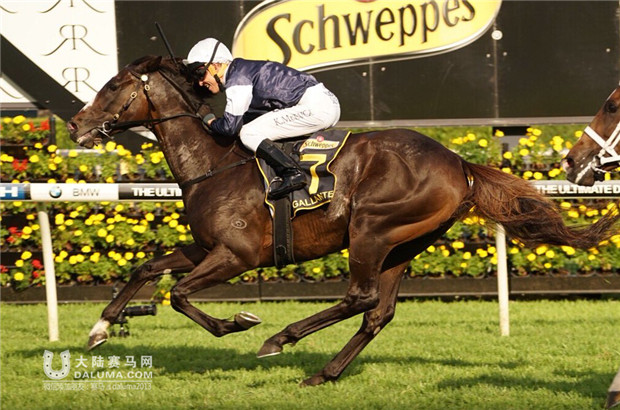 “佳朗”(Gallante)问鼎2000万澳币悉尼杯 CHC“奥夫雷”第十 大陆赛马网 (2).jpg
