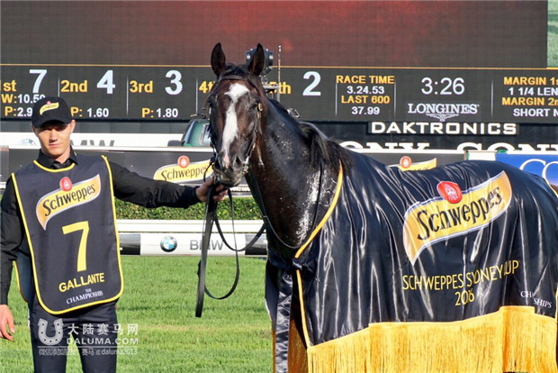 “佳朗”(Gallante)问鼎2000万澳币悉尼杯 CHC“奥夫雷”第十 大陆赛马网 (3).jpg