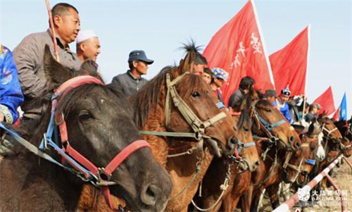 新疆博湖县赛马大会上演“速度与激情”