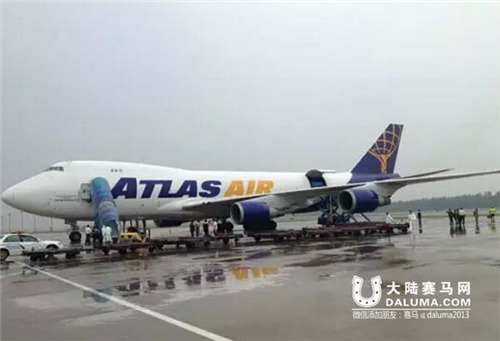 中国马主在新西兰购马七大优势