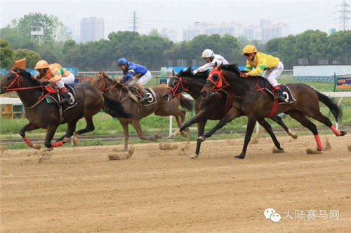 五一假期在北京看速度赛马�：阔别四年，携激情与时尚归来