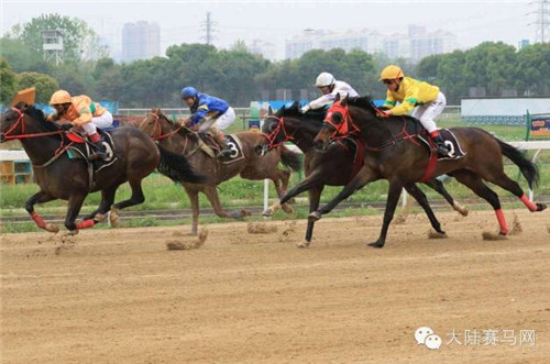 北京五一假期赛马旅游路线�：不容错过的激情与人文时尚之旅