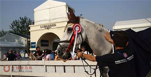 2016国际马联场地障碍世界杯中国联赛比赛日程(全)12.jpg