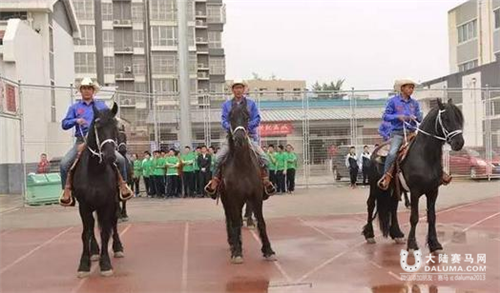 弘扬骑士精神 国家级重点职业学校将开设马术专业