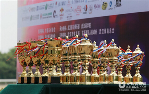 五一赛马嘉年华 奏响多采的乐章