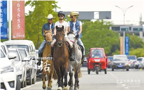 都市牧马人	：成都游戏宅男变身马术冠军