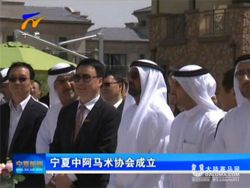 “宁夏中阿马术协会”揭牌成立