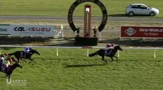 莱德马业旗下赛驹“蒙古帝国”新西兰1200米赛事夺冠 大陆赛马网 - 副本.jpg