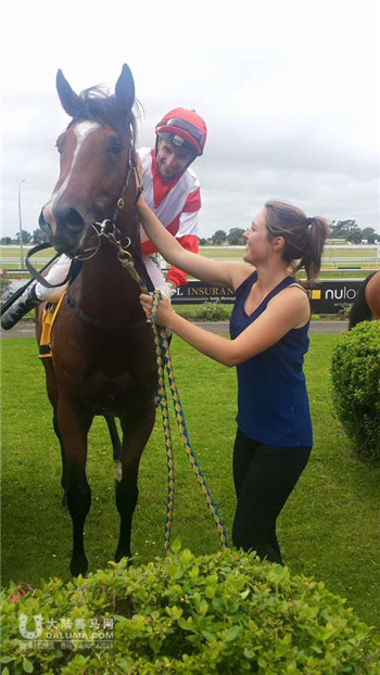 莱德马业旗下赛驹“蒙古帝国”新西兰1200米赛事夺冠 大陆赛马网2.jpg