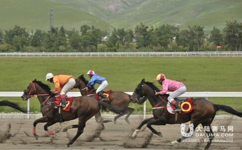 2016中国速度赛马大奖赛那拉提站将于6月开赛
