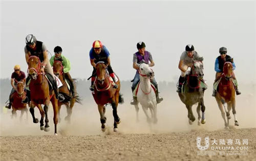 2016京西草原速度赛马三周连赛5月21日开启