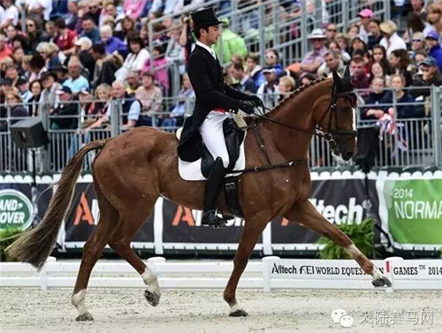 周六北京看盛装舞步	！北京马协盛装舞步巡回赛第一站亚萨园举办