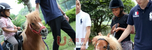 精英少年马术课程已加入瑞华餐厅周末豪华早午餐系列