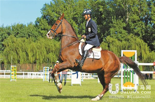 内蒙古打造以马术节为龙头的战略品牌群