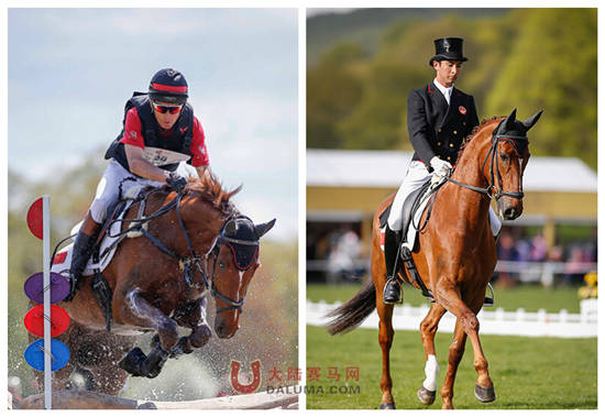 中国骑手华天备战里约奥运 一月三赛8.jpg