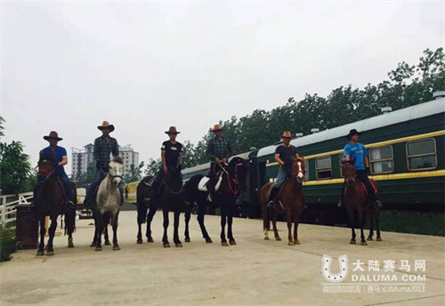 马术旅游成为淮南旅游新亮点